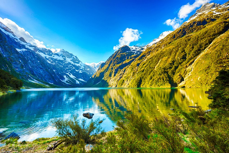 NewZealand