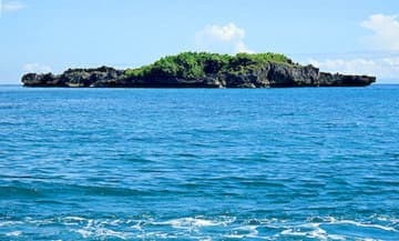 Crocodile Island