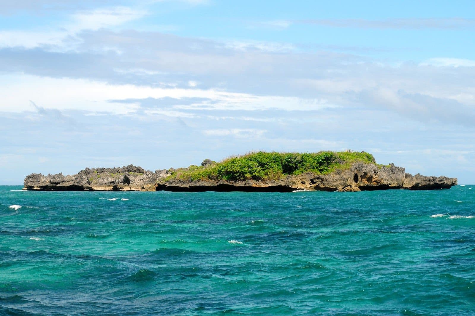 Crocodile Island — photo 1