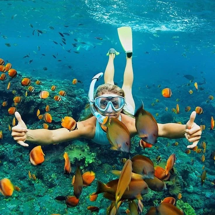 Snorkeling Mask Rental