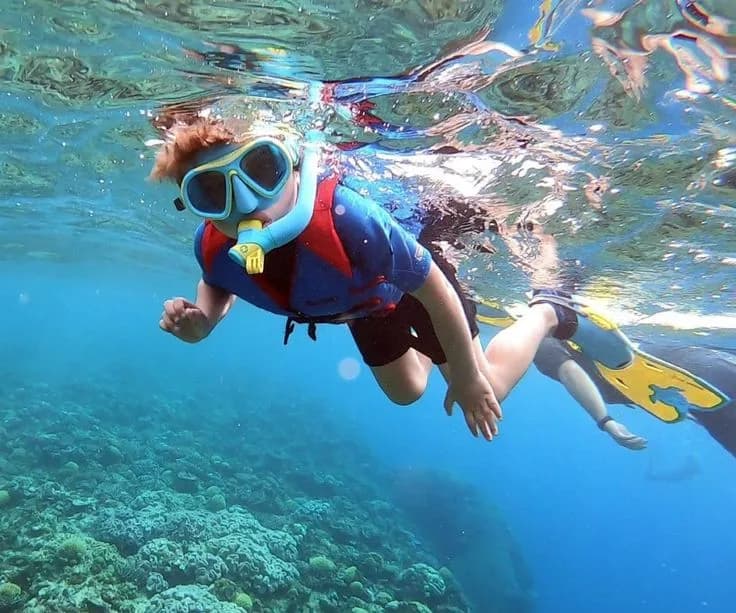 Snorkeling Mask Rental — photo 2