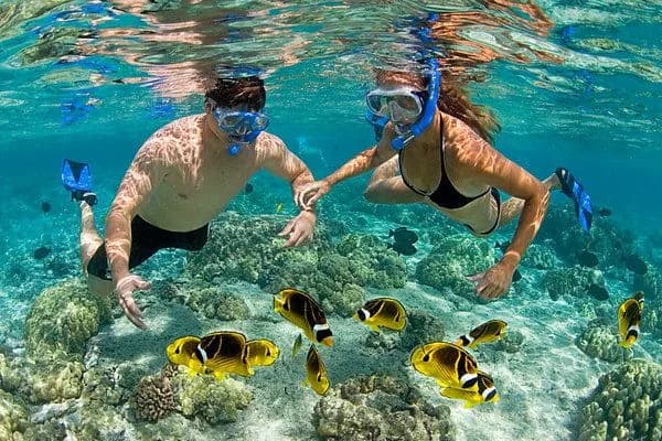 Snorkeling Mask Rental — photo 1