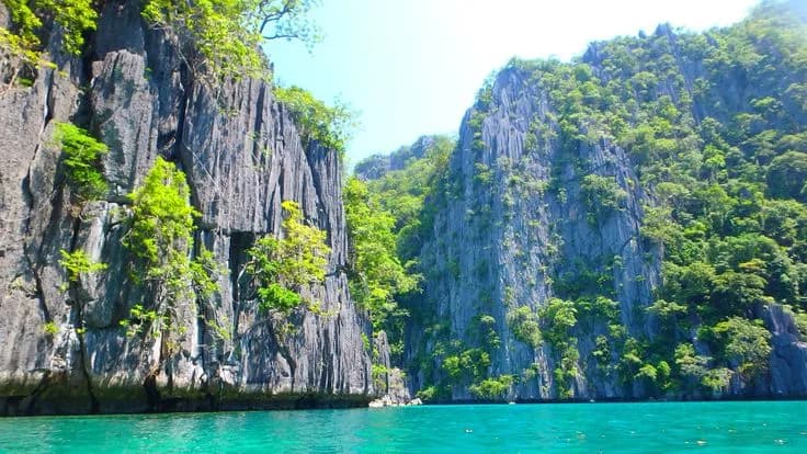 Environmental Fee (El Nido) — photo 2