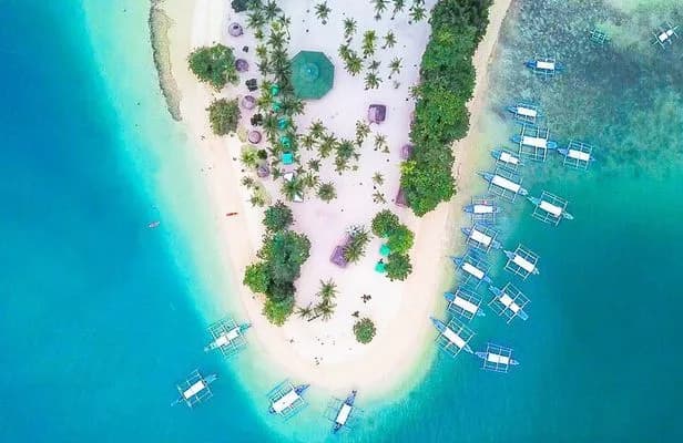 Environmental Fee (Puerto Princesa) — photo 1