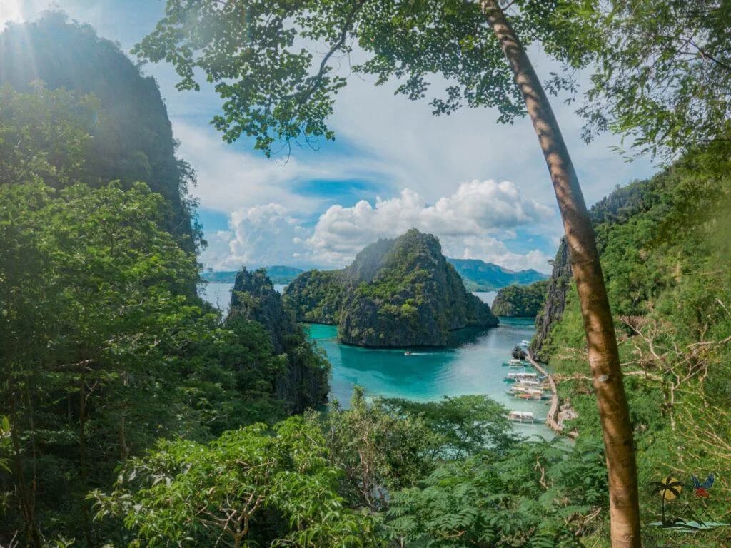Coron