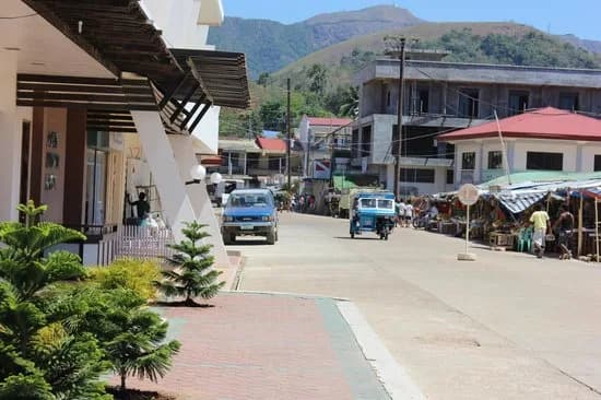 Calauit Safari Tour (Joiners) — photo 3