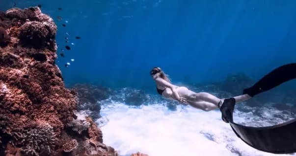 Free Diving — photo 3
