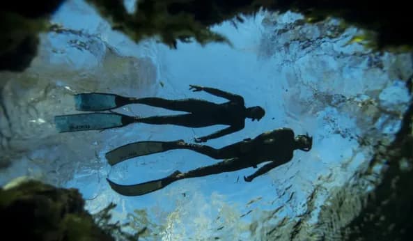 Free Diving — photo 1