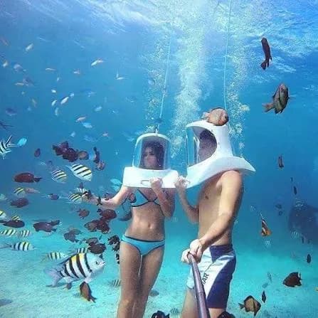 Helmet Diving — photo 3