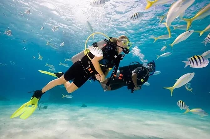 Scuba Diving — photo 1