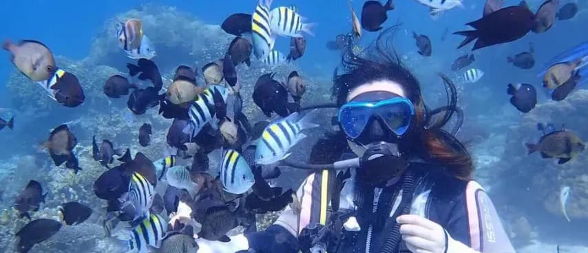 Scuba Diving — photo 3