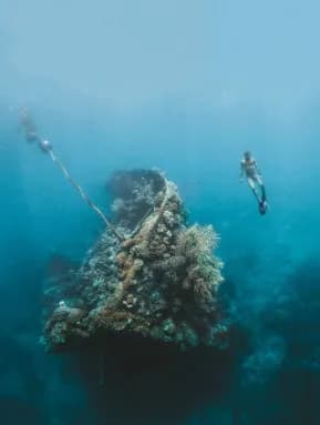 Coron Reef and Wrecks (Joiners) — photo 1