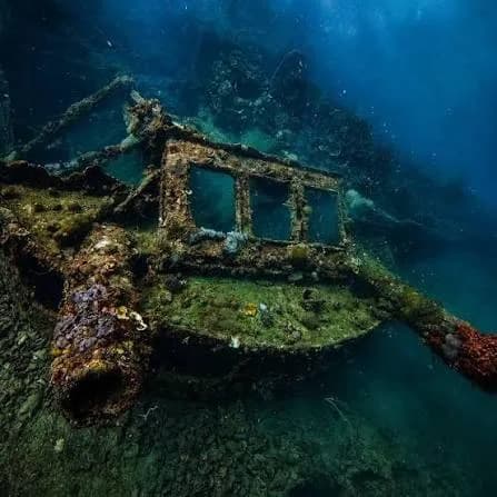 Coron Reef and Wrecks (Joiners) — photo 3