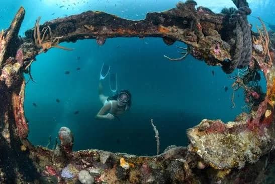Coron Reef and Wrecks (Joiners)